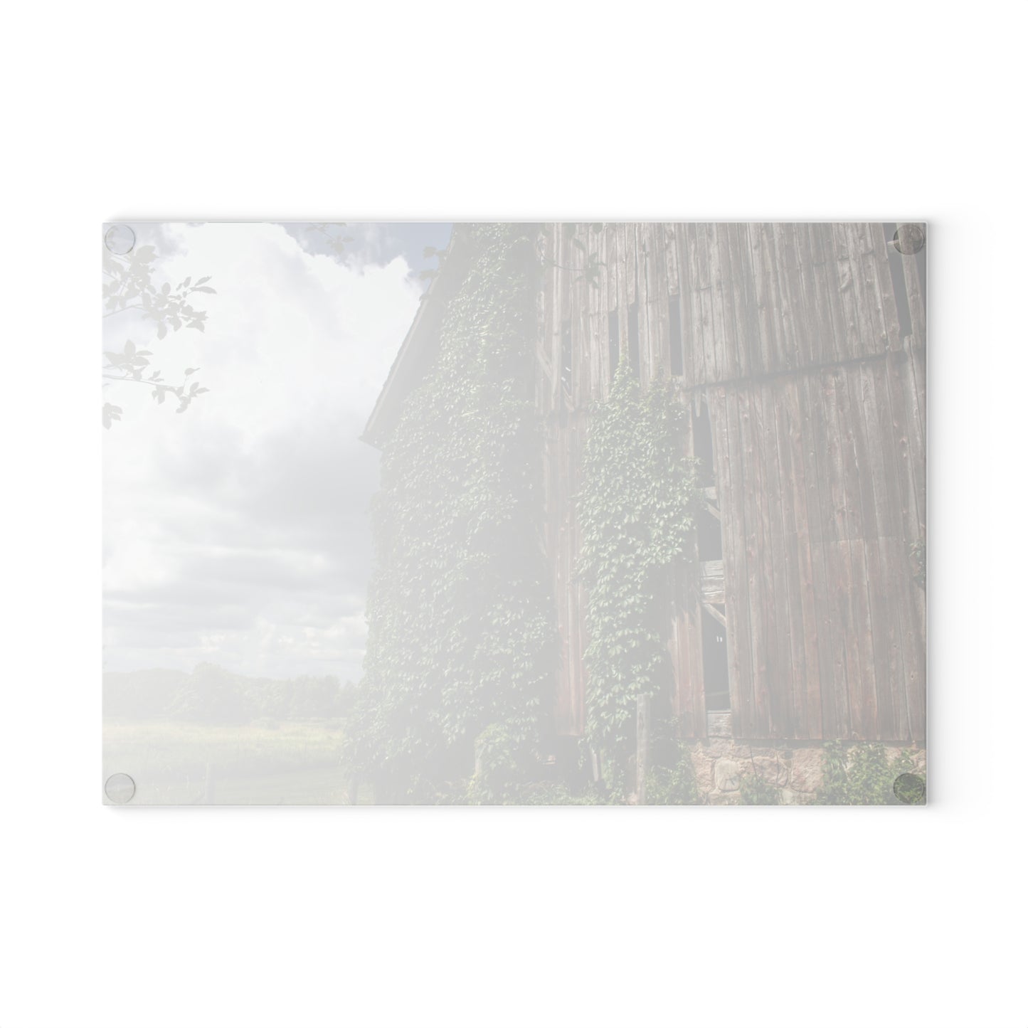 U R There Photography North Branch Ivy Grey II Rustic Farmhouse Tempered-Glass Cutting Board