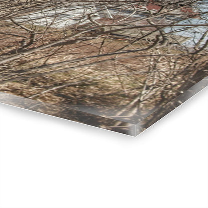 U R There Photography Hill Road Hidden Grey I Rustic Farmhouse Acrylic Wall Print