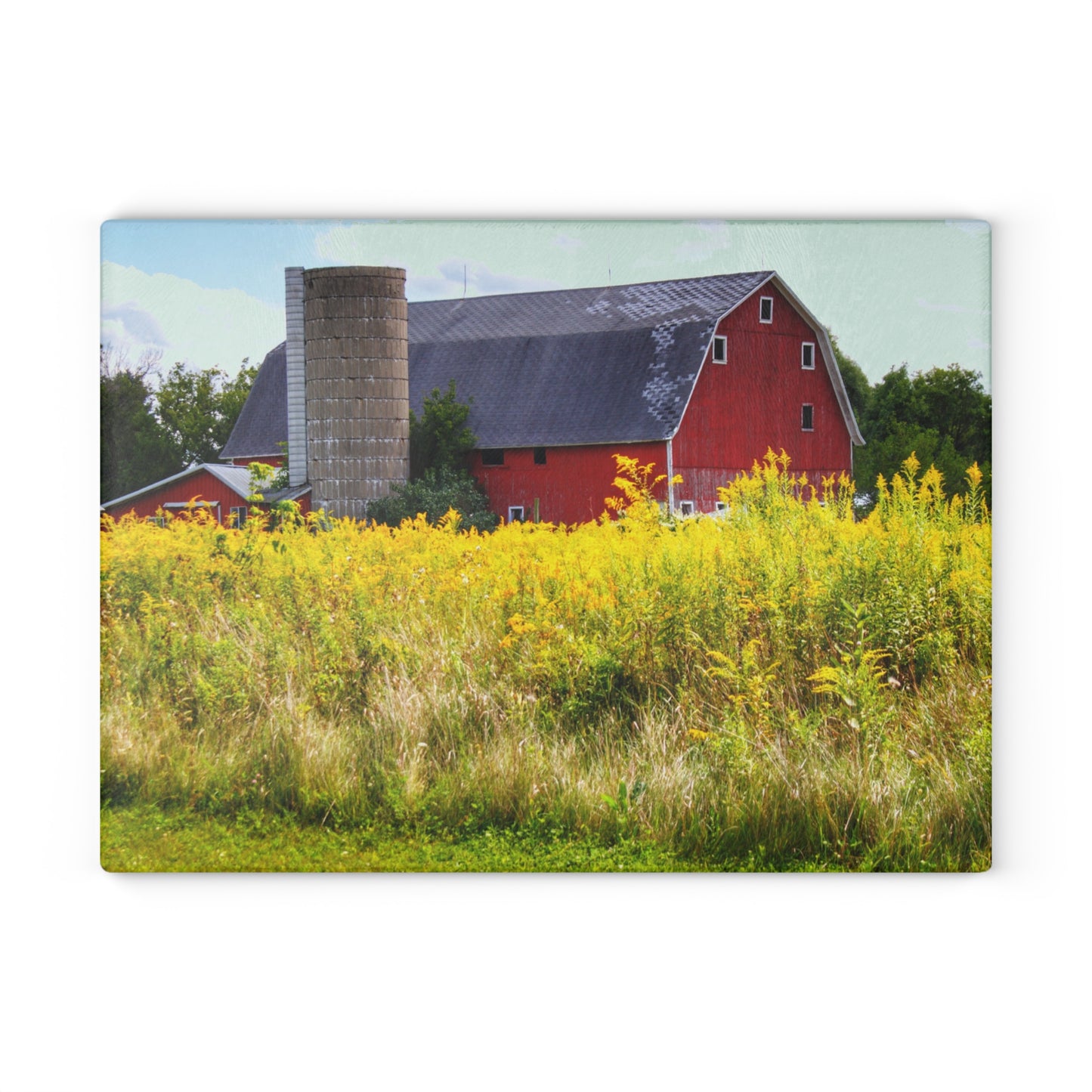 U R There Photography Starr Court Red II Rustic Farmhouse Tempered-Glass Cutting Board