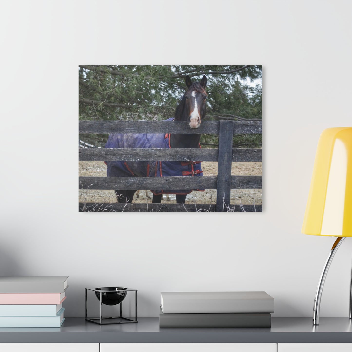 U R There Photography Hosner Road Chestnut Rustic Farmhouse Acrylic Wall Print