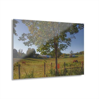 Barn Boutique Modern Farmhouse Acrylic Wall Print| Hunters Creek Ponies