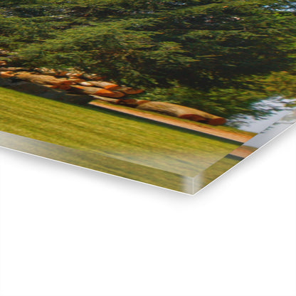 U R There Photography Mushroom Road Hidden Red Rustic Farmhouse Acrylic Wall Print