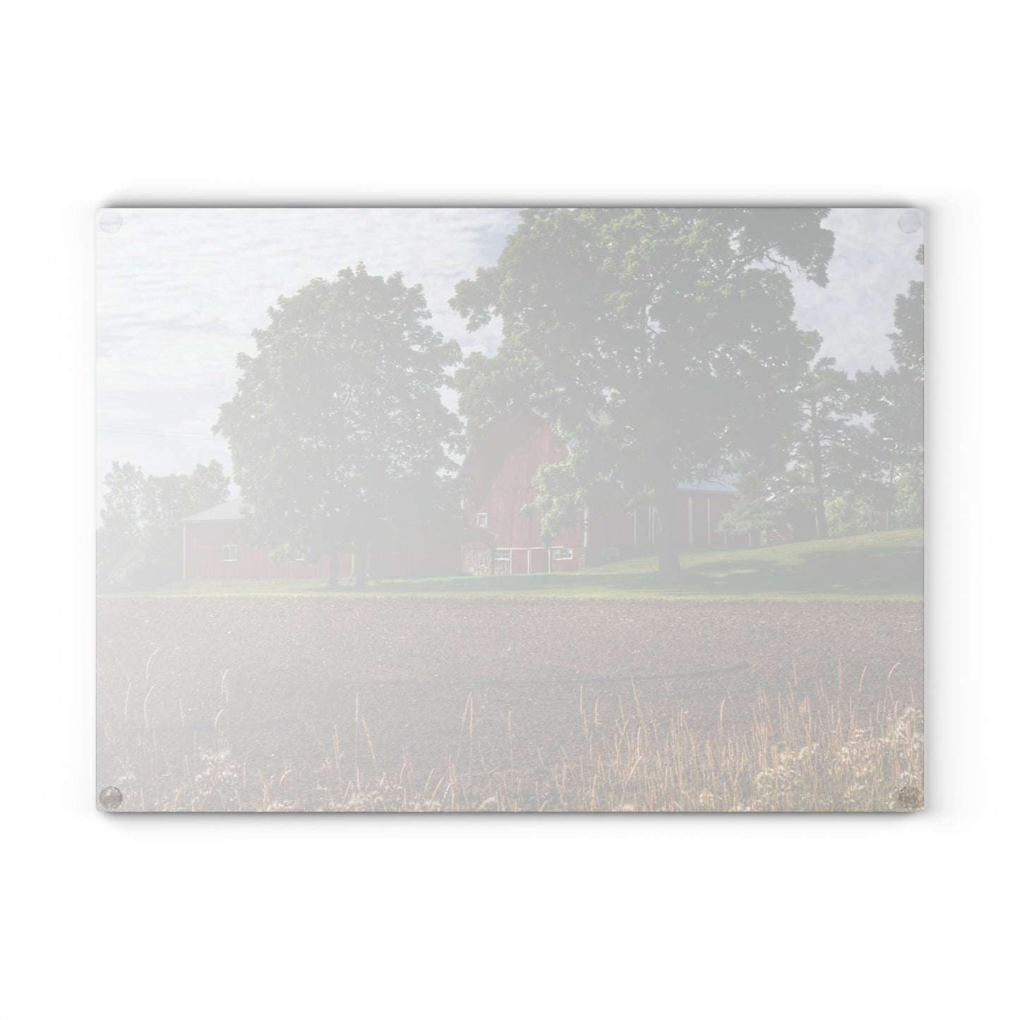 U R There Photography Catlin Road Red II Rustic Farmhouse Tempered-Glass Cutting Board