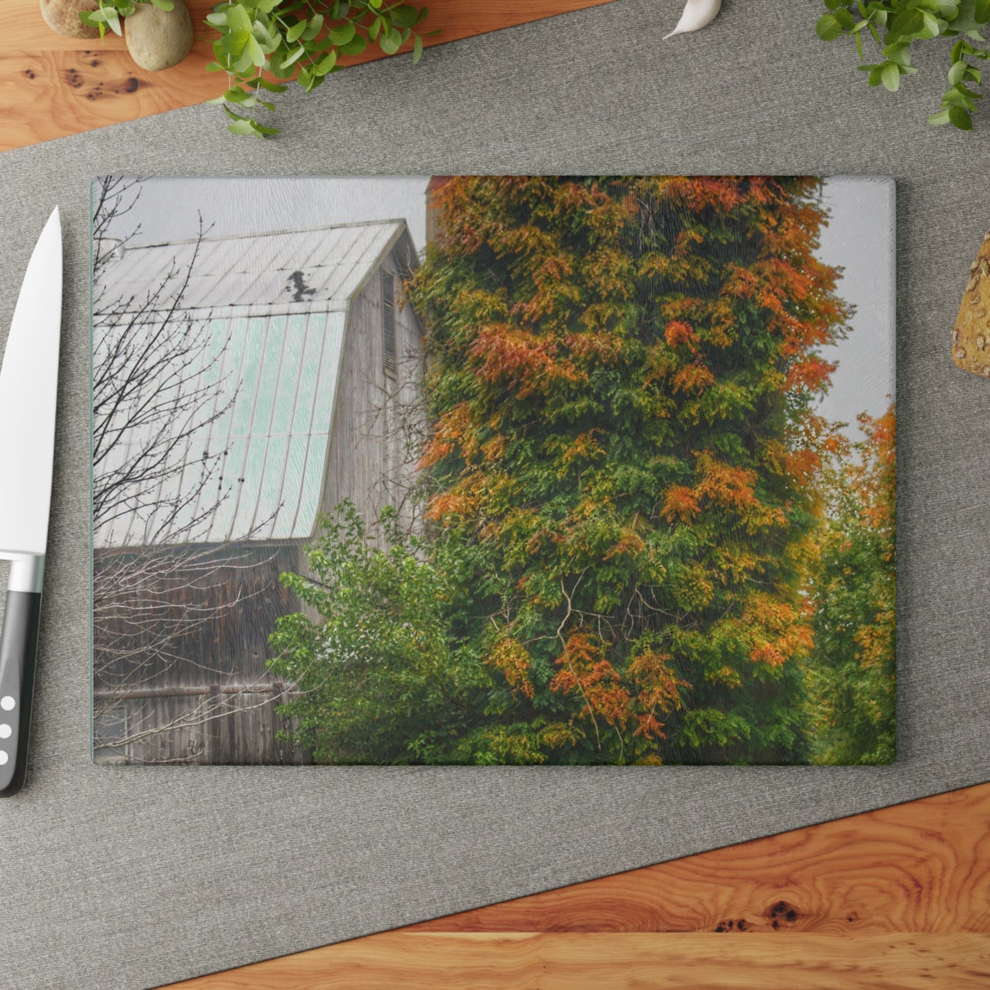 U R There Photography Ludwig Road Oxford Grey and Silo Rustic Farmhouse Tempered-Glass Cutting Board