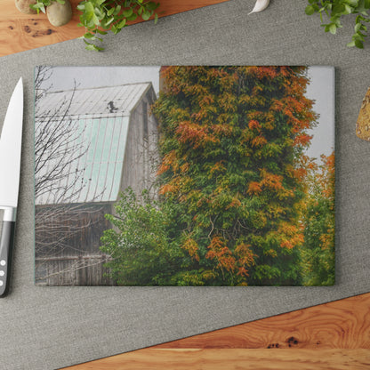 U R There Photography Ludwig Road Oxford Grey and Silo Rustic Farmhouse Tempered-Glass Cutting Board