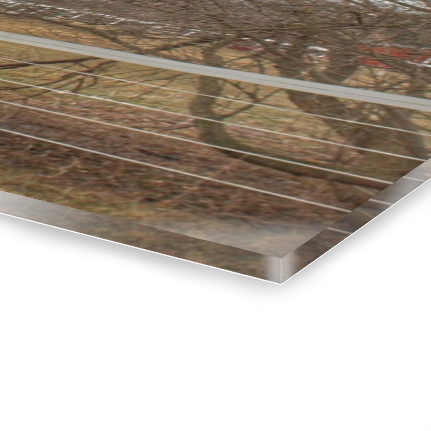 U R There Photography Diehl Road Red Rustic Farmhouse Acrylic Wall Print