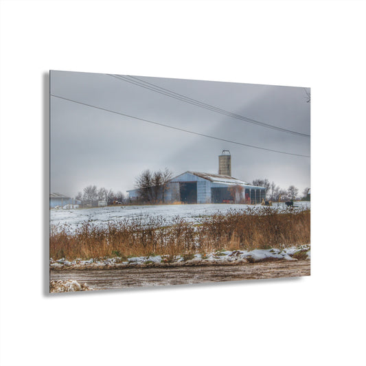 U R There Photography Noble Road Blue Cow Barn Rustic Farmhouse Acrylic Wall Print