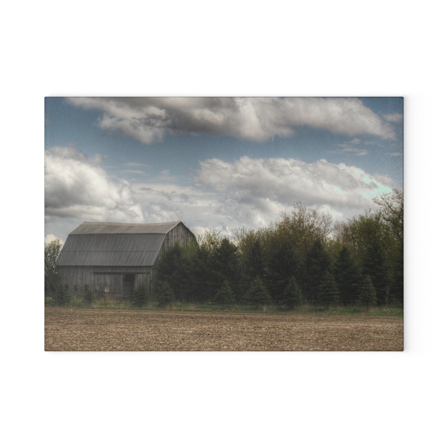 U R There Photography Sandusky Grey in the Pines Rustic Farmhouse Tempered-Glass Cutting Board