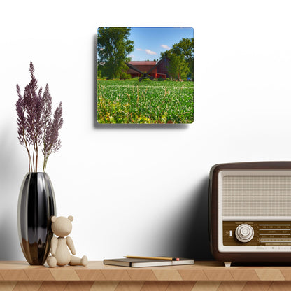 U R There Photography Canada Road Hidden Red Rustic Farmhouse Acrylic Analog Wall Clock
