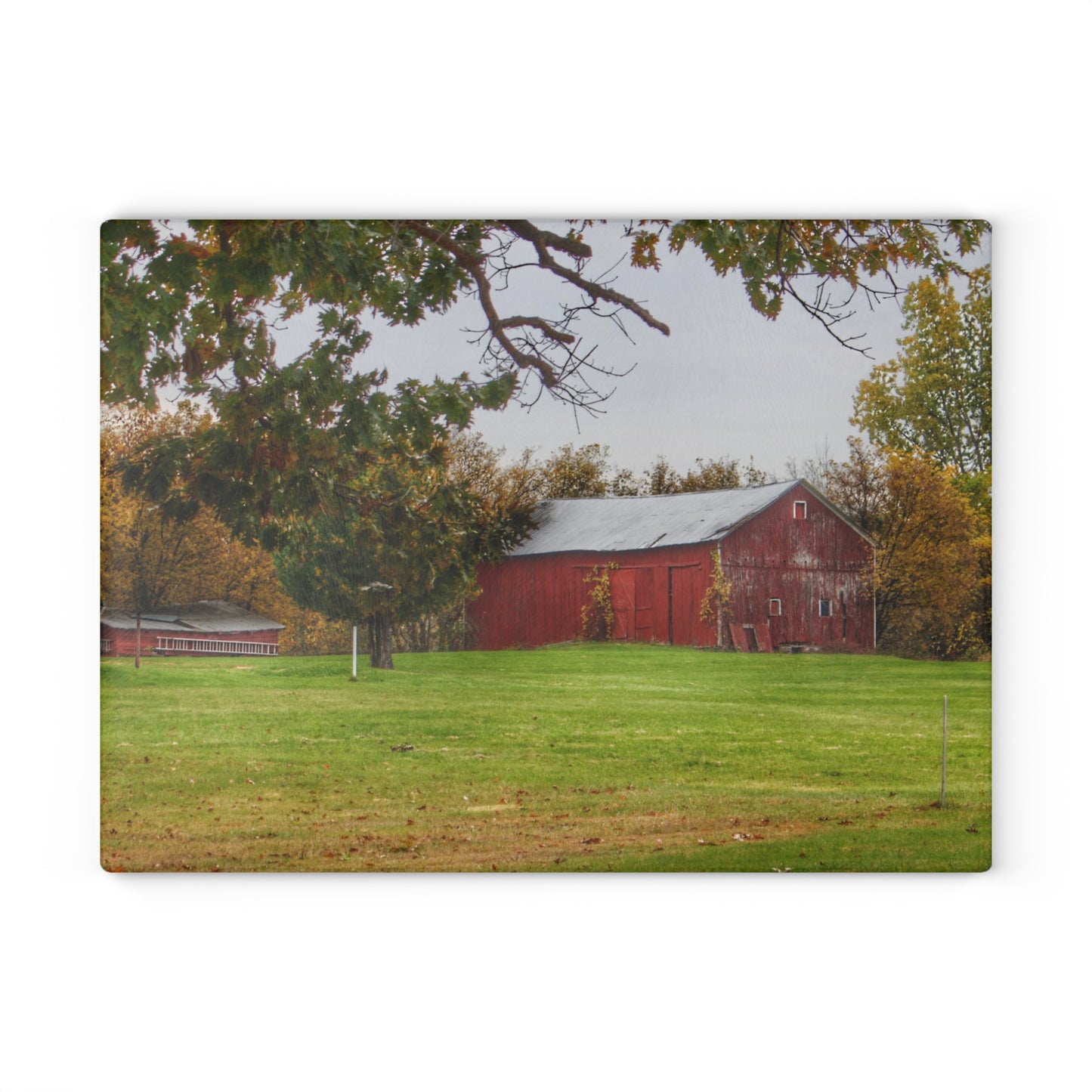 U R There Photography Hill Road Roadside Red Rustic Farmhouse Tempered-Glass Cutting Board