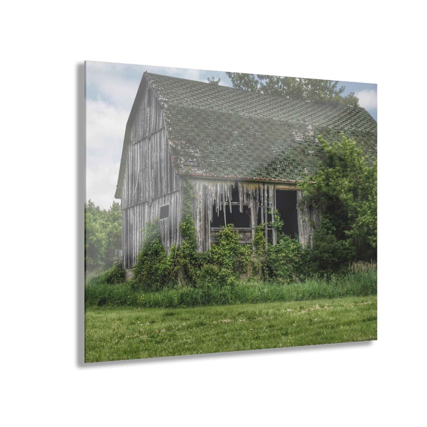 U R There Photography Hunters Creek Forgotten Grey Rustic Farmhouse Acrylic Wall Print
