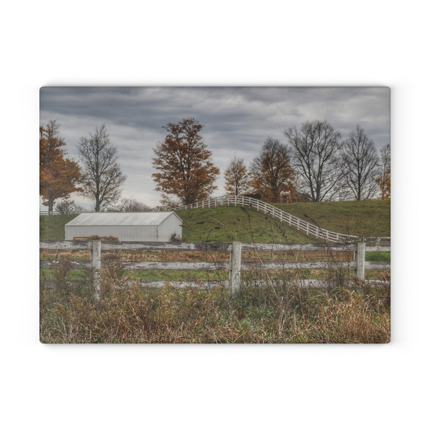 U R There Photography Millville Road Horses on the Hill Rustic Farmhouse Tempered-Glass Cutting Board