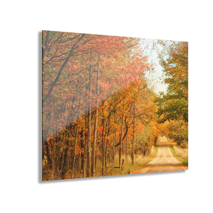 Barn Boutique Modern Farmhouse Acrylic Wall Print| Murphy Lake Road in the Fall I