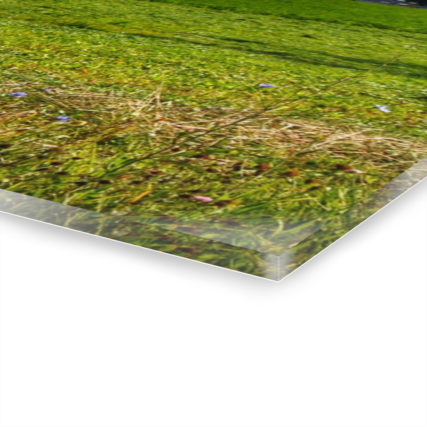 U R There Photography Across the Field in Kingston Rustic Farmhouse Acrylic Wall Print