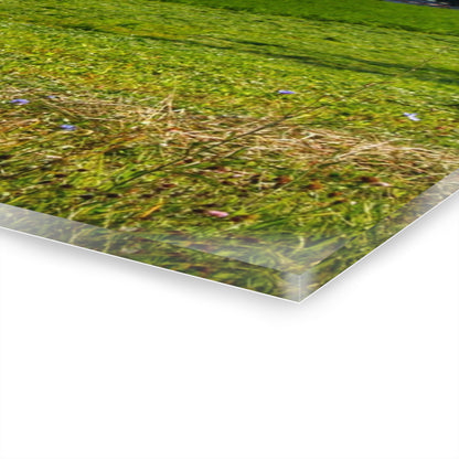 U R There Photography Across the Field in Kingston Rustic Farmhouse Acrylic Wall Print