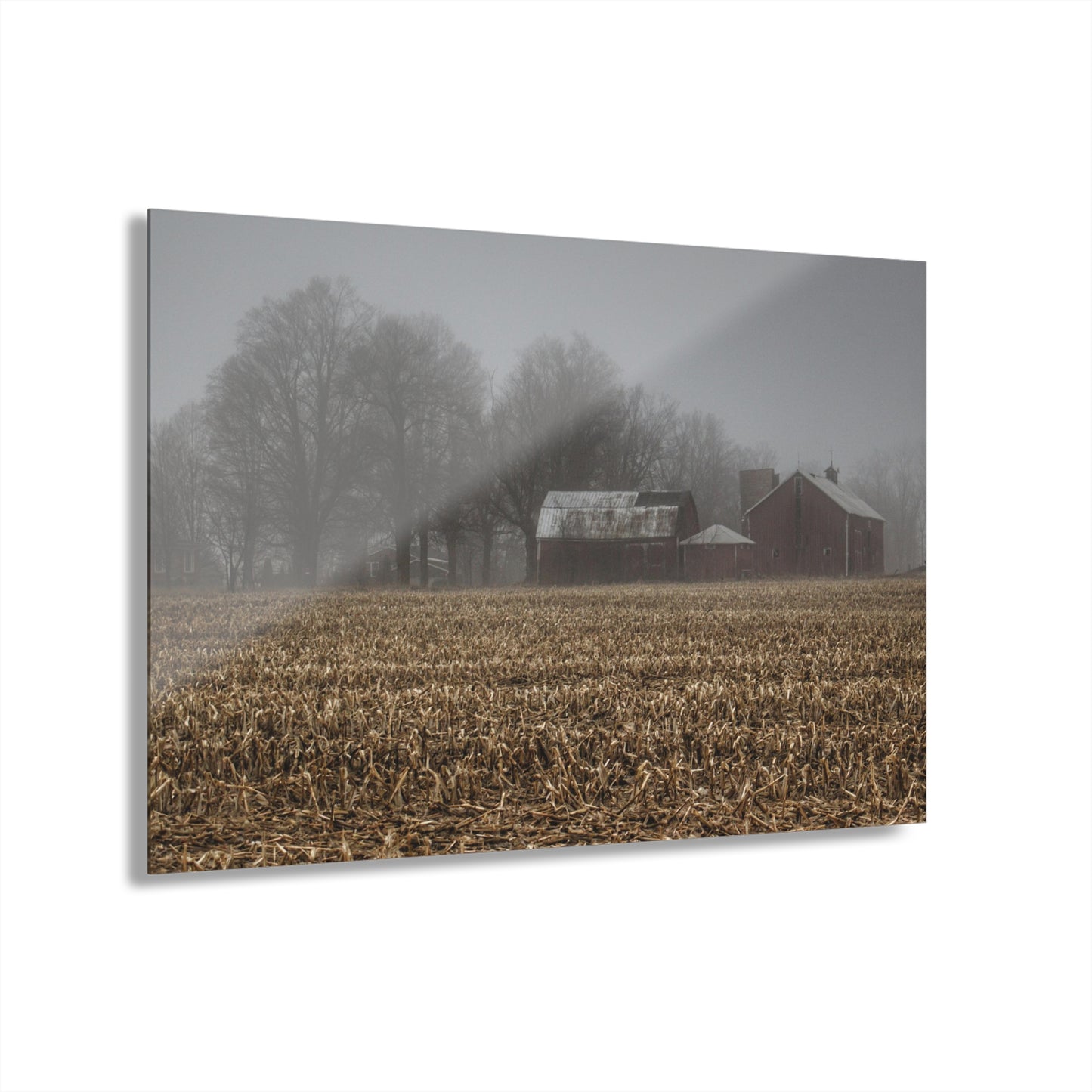 U R There Photography Farm in the Fog on Barnes Road Rustic Farmhouse Acrylic Wall Print