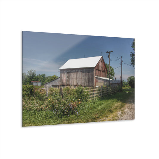 U R There Photography Castle Road Cow Barn I Rustic Farmhouse Acrylic Wall Print