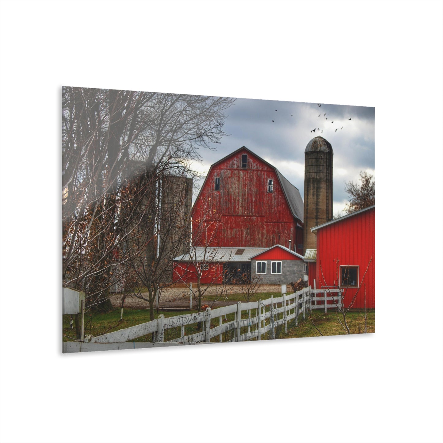 Barn Boutique Modern Farmhouse Acrylic Wall Print| Peck Red