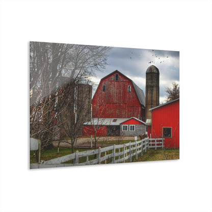 Barn Boutique Modern Farmhouse Acrylic Wall Print| Peck Red