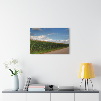 U R There Photography Gilford Road Corn Row Rustic Farmhouse Acrylic Wall Print