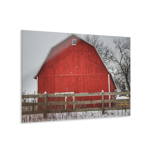 U R There Photography Big Red Beyond the Fence Rustic Farmhouse Acrylic Wall Print