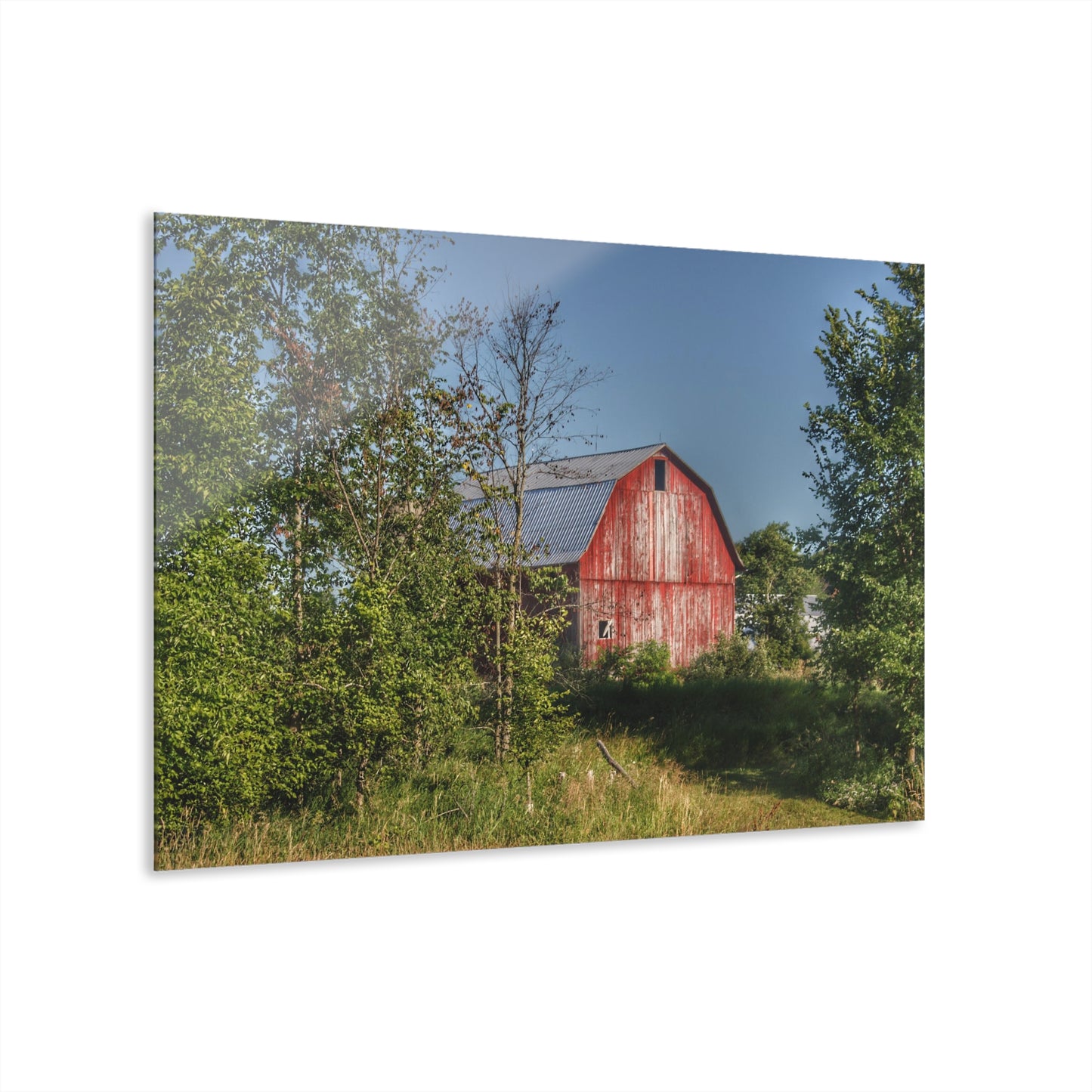 U R There Photography Columbiaville Red in Summer I Rustic Farmhouse Acrylic Wall Print