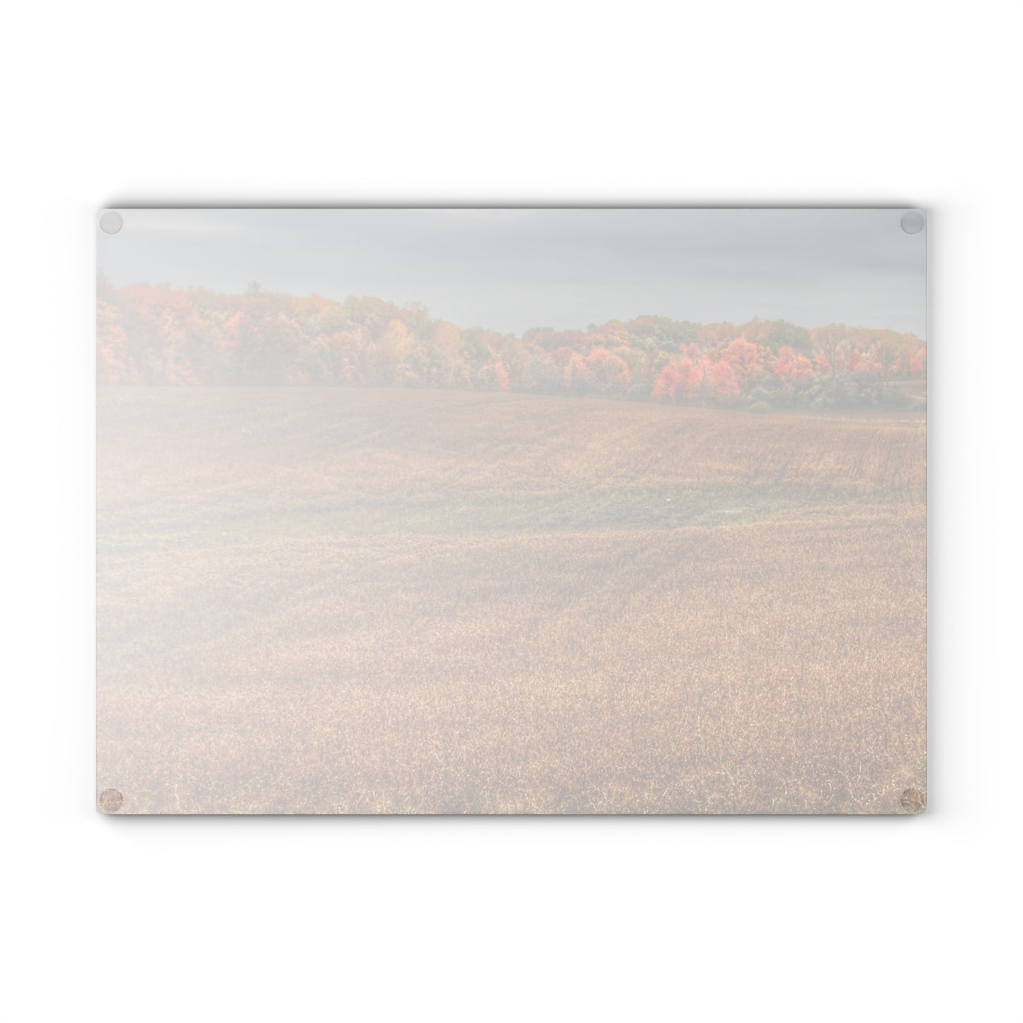U R There Photography Colors of Fall on Lippincott Road Rustic Farmhouse Tempered-Glass Cutting Board