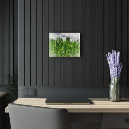 U R There Photography Beyond the Corn in Millington Rustic Farmhouse Acrylic Wall Print