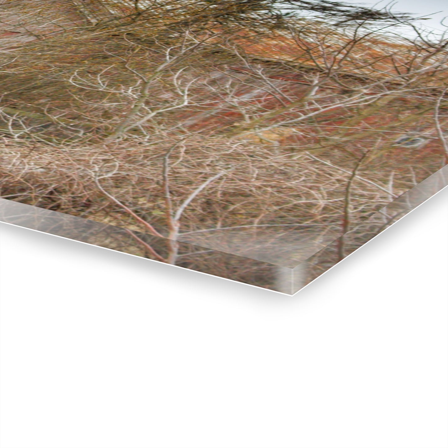 U R There Photography Klam Road Hidden Gable Red Rustic Farmhouse Acrylic Wall Print