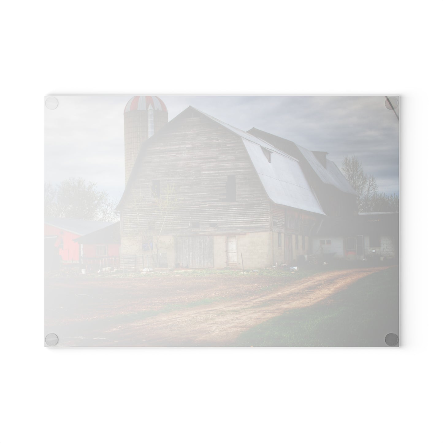U R There Photography Murphy Lake Road Grey I Rustic Farmhouse Tempered-Glass Cutting Board