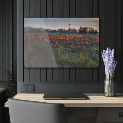 U R There Photography Five Lakes Pumpkins Rustic Farmhouse Acrylic Wall Print