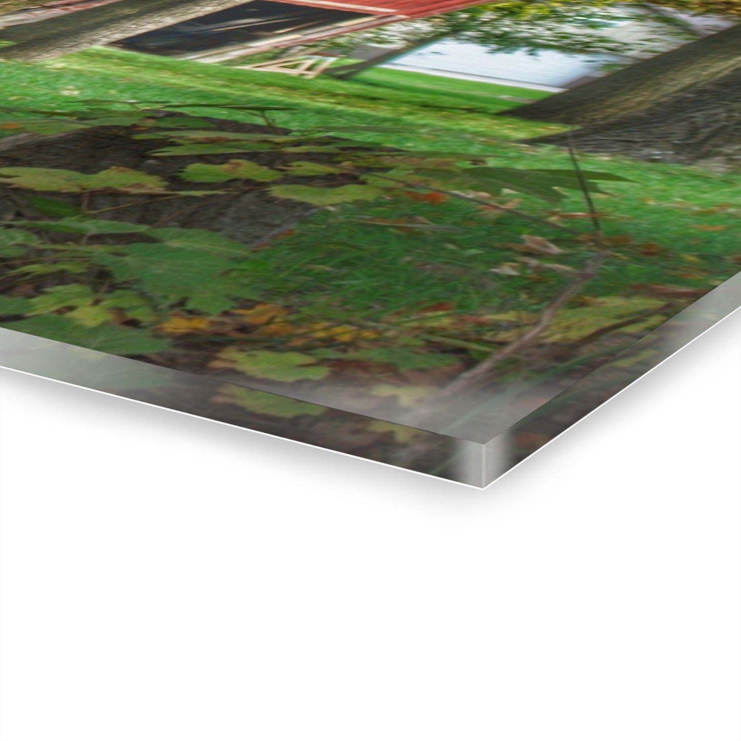 U R There Photography LeValley Falling Red Rustic Farmhouse Acrylic Wall Print