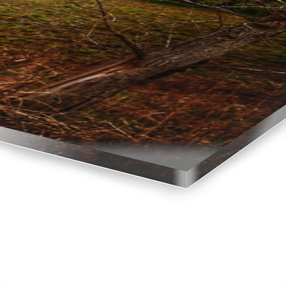 U R There Photography Fostoria Road Greys Rustic Farmhouse Acrylic Wall Print