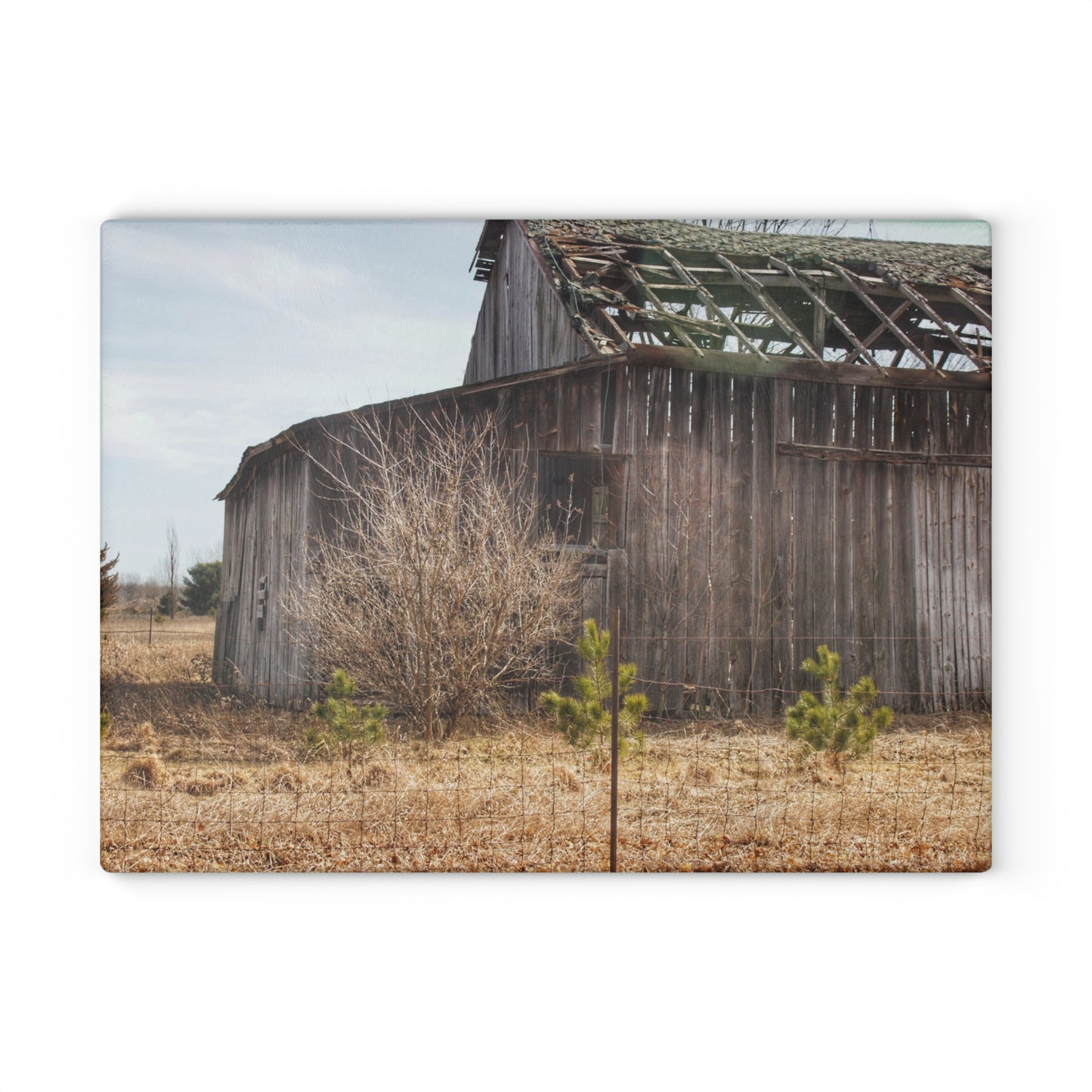 U R There Photography Leix Road Forgotten Grey II Rustic Farmhouse Tempered-Glass Cutting Board