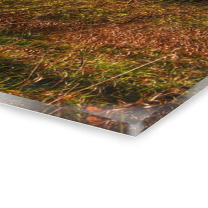 U R There Photography Montgomery Road Reds Rustic Farmhouse Acrylic Wall Print