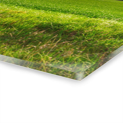 U R There Photography North Graf Road Old Grey Rustic Farmhouse Acrylic Wall Print