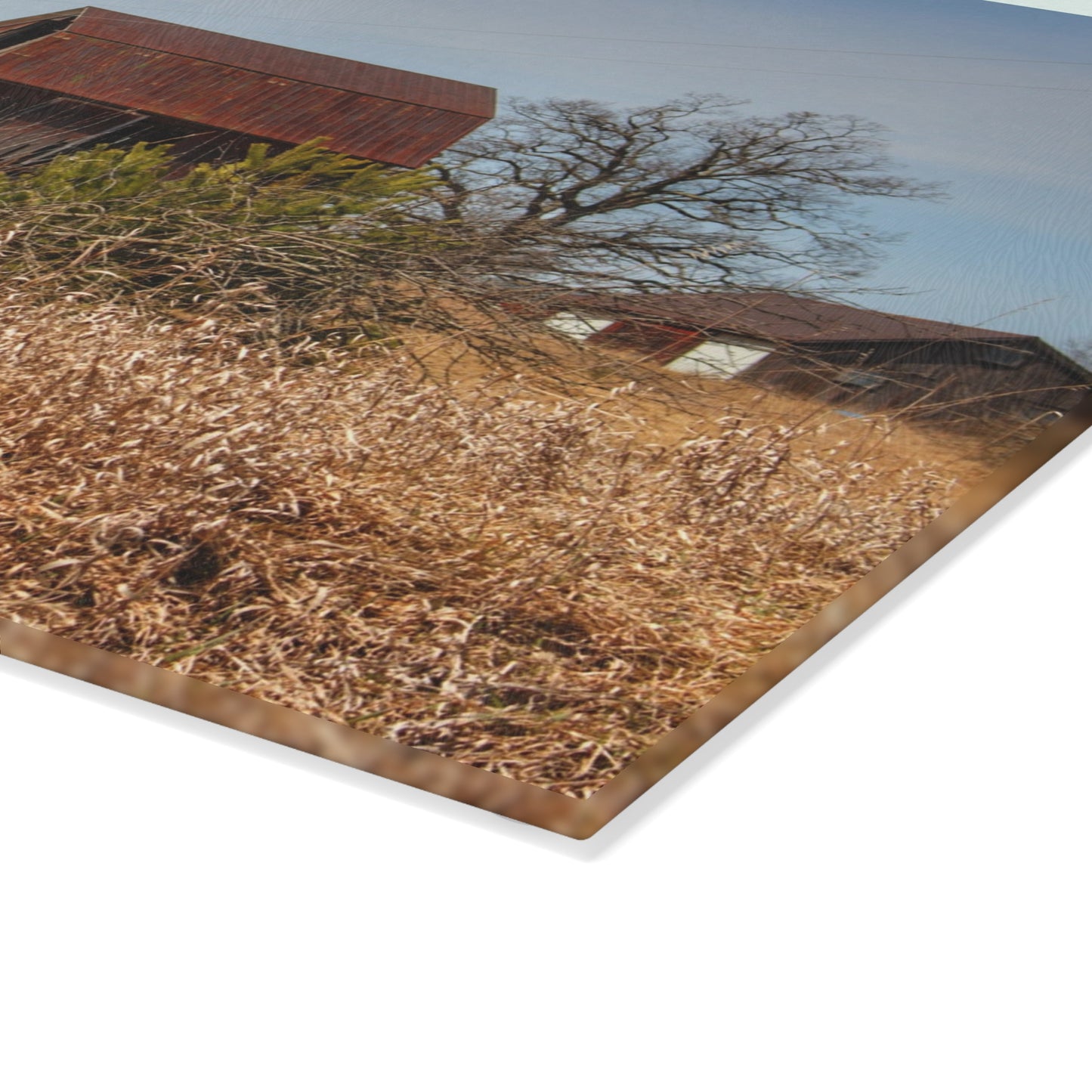 U R There Photography Klam Road Rusted Reds Rustic Farmhouse Tempered-Glass Cutting Board