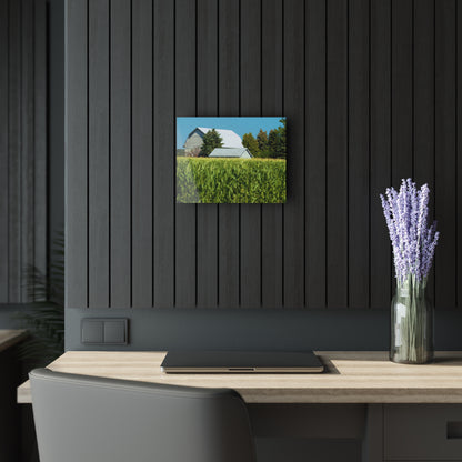 U R There Photography White Cornfield Barn Rustic Farmhouse Acrylic Wall Print