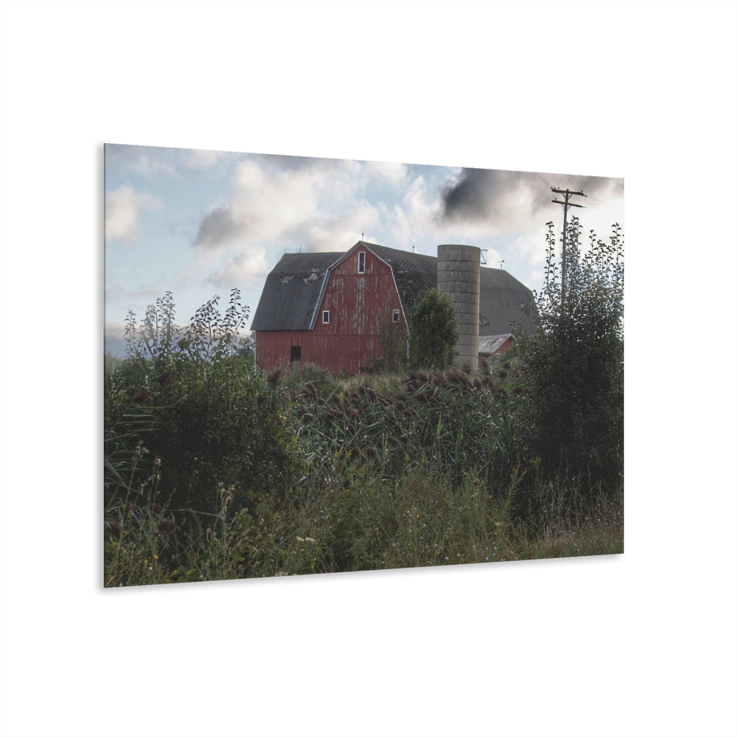 U R There Photography Greenwood Road Red II Rustic Farmhouse Acrylic Wall Print