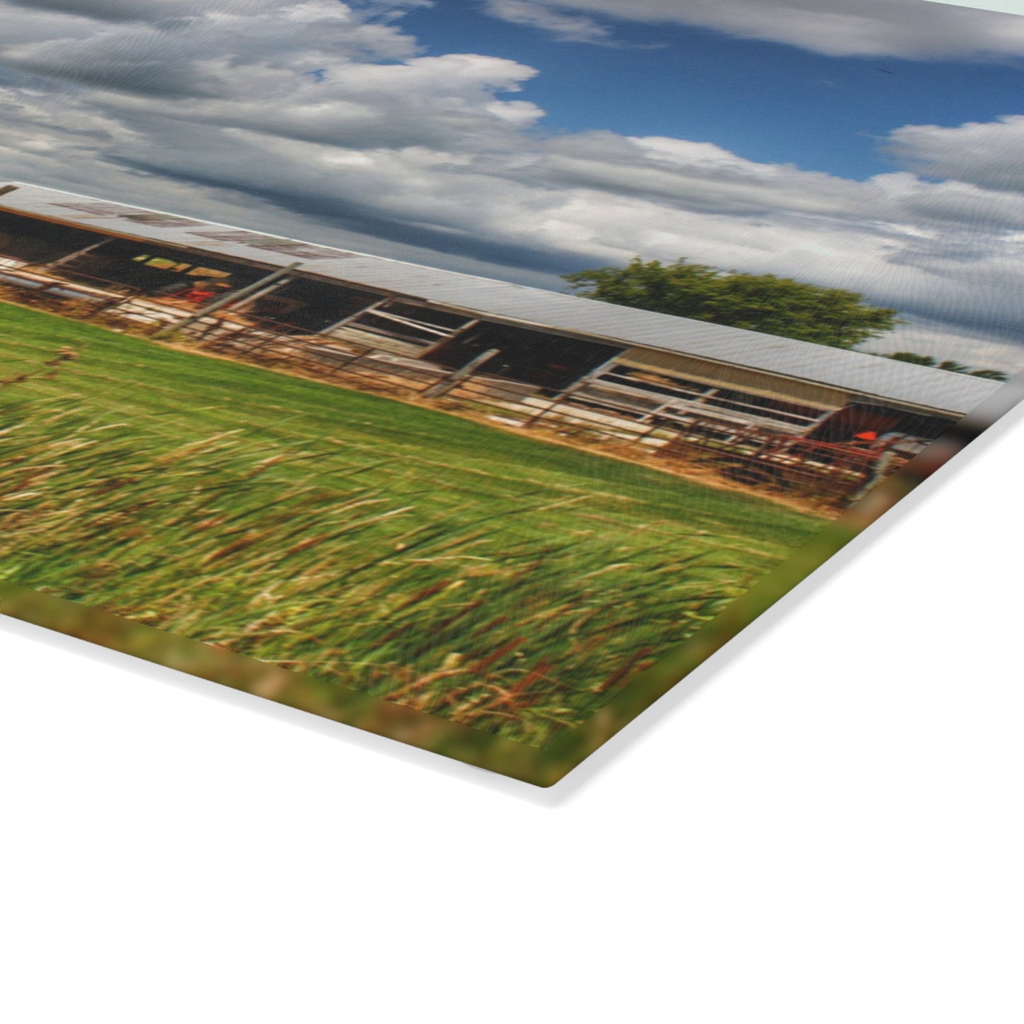 U R There Photography Millington Grey and Silos Rustic Farmhouse Tempered-Glass Cutting Board