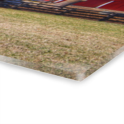 U R There Photography Imlay City Road Cow Barn I Rustic Farmhouse Acrylic Wall Print