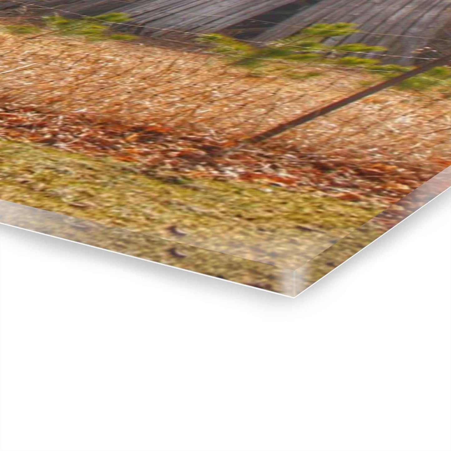 U R There Photography Leix Road Forgotten Grey I Rustic Farmhouse Acrylic Wall Print