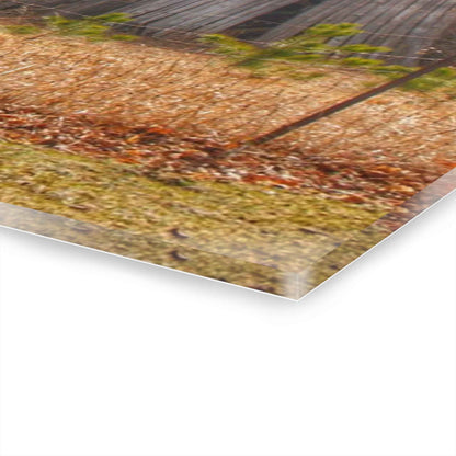 U R There Photography Leix Road Forgotten Grey I Rustic Farmhouse Acrylic Wall Print