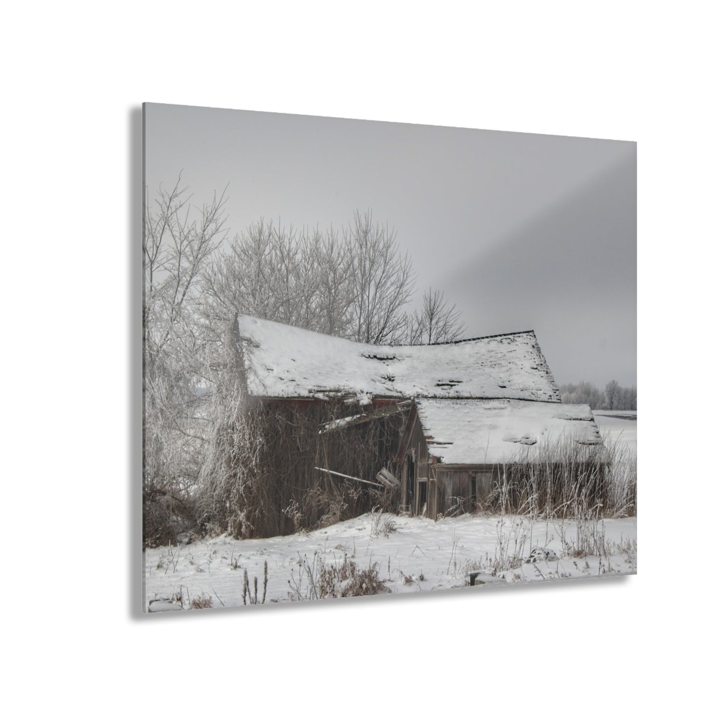 U R There Photography Grey Shacks of Mayville Rustic Farmhouse Acrylic Wall Print