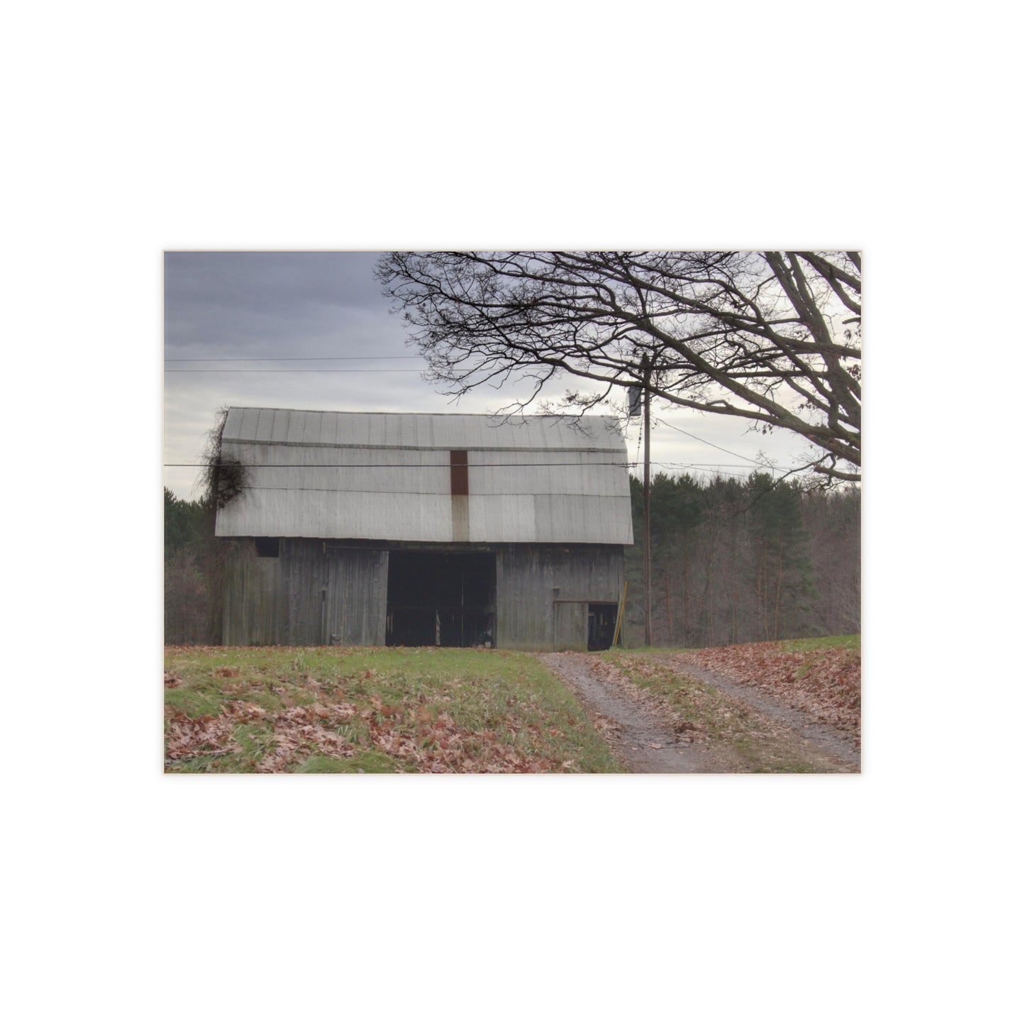 U R There Photography Grey Horse Barn Rustic Farmhouse Decorative Ceramic Tile