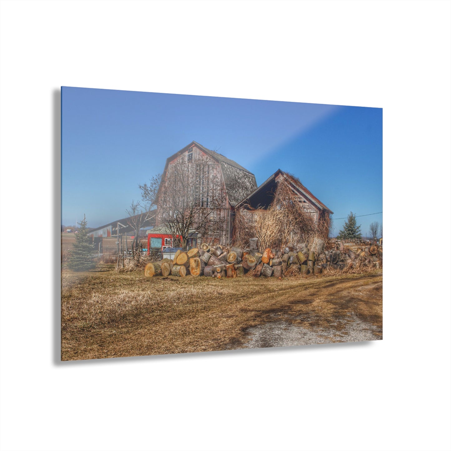 U R There Photography Dutcher Road Grey Rustic Farmhouse Acrylic Wall Print