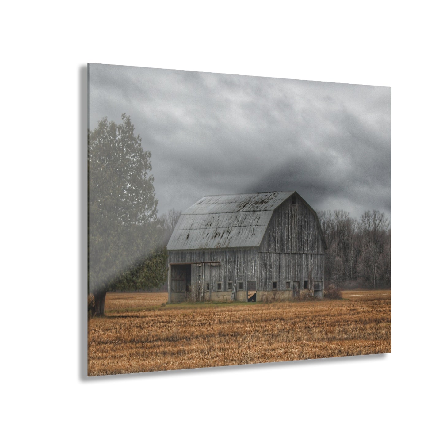 U R There Photography Grey Barn and Tree Rustic Farmhouse Acrylic Wall Print