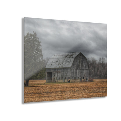 U R There Photography Grey Barn and Tree Rustic Farmhouse Acrylic Wall Print