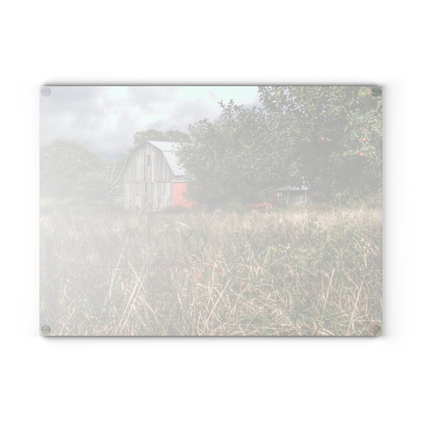 U R There Photography East Frances Road Hidden Grey I Rustic Farmhouse Tempered-Glass Cutting Board
