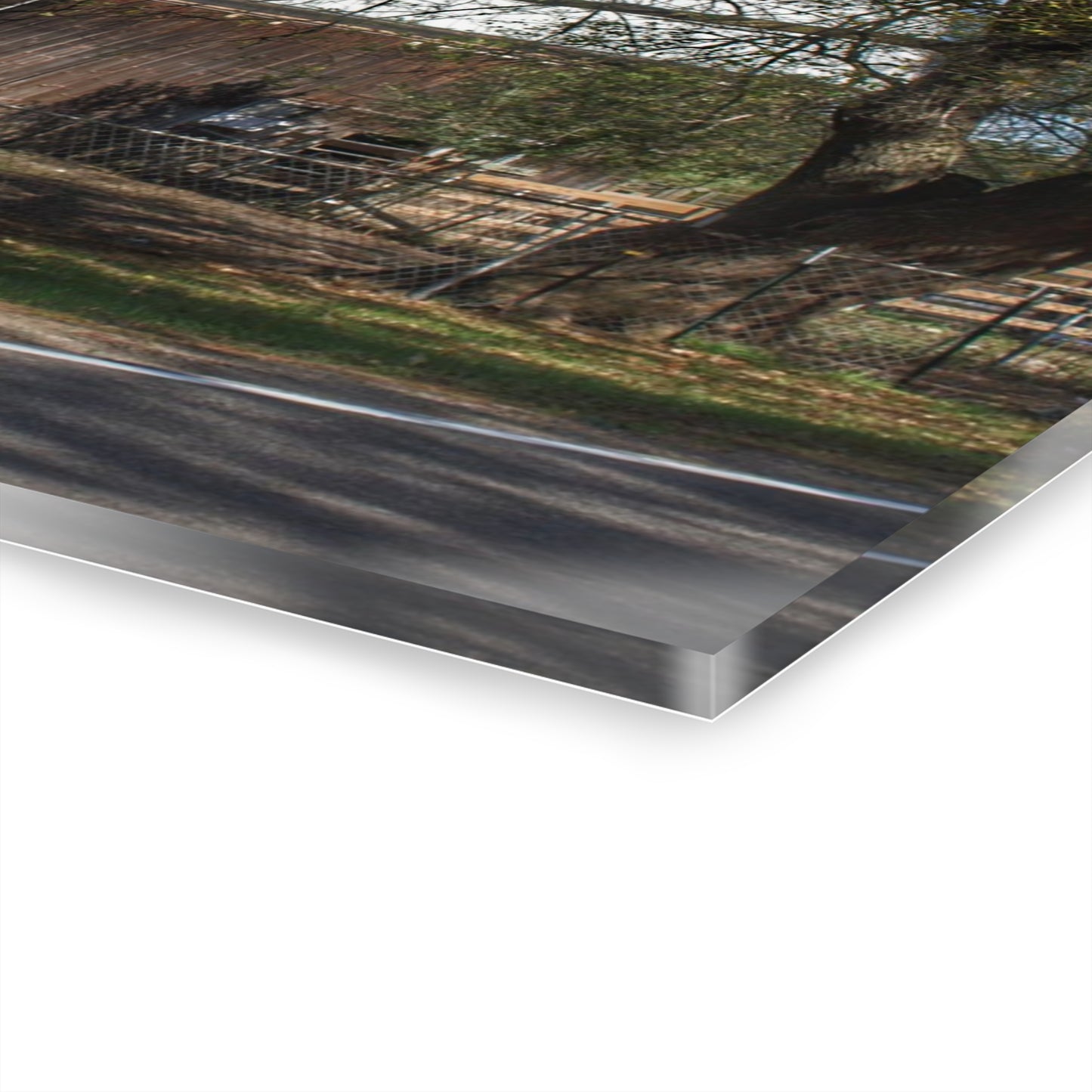 U R There Photography Birch Run Road Grey Rustic Farmhouse Acrylic Wall Print
